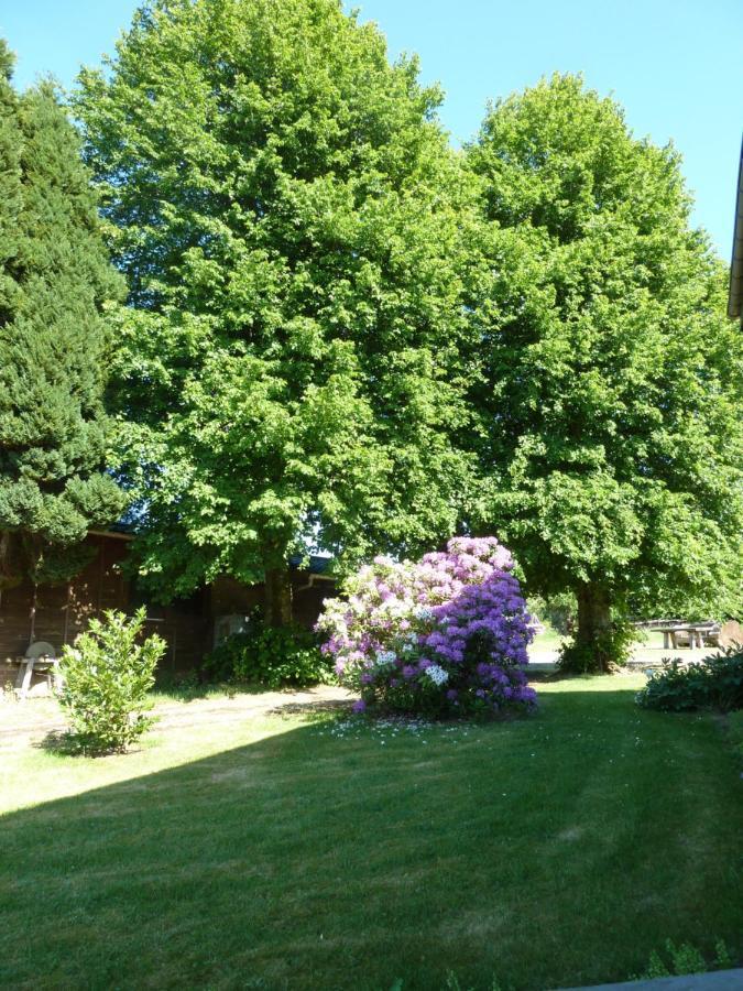 'Chez Lulu' - Gîte de charme en Ardennes avec grande terrasse fermée Nassogne Extérieur photo