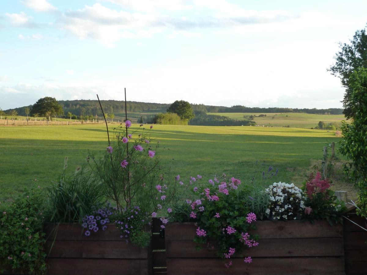 'Chez Lulu' - Gîte de charme en Ardennes avec grande terrasse fermée Nassogne Extérieur photo