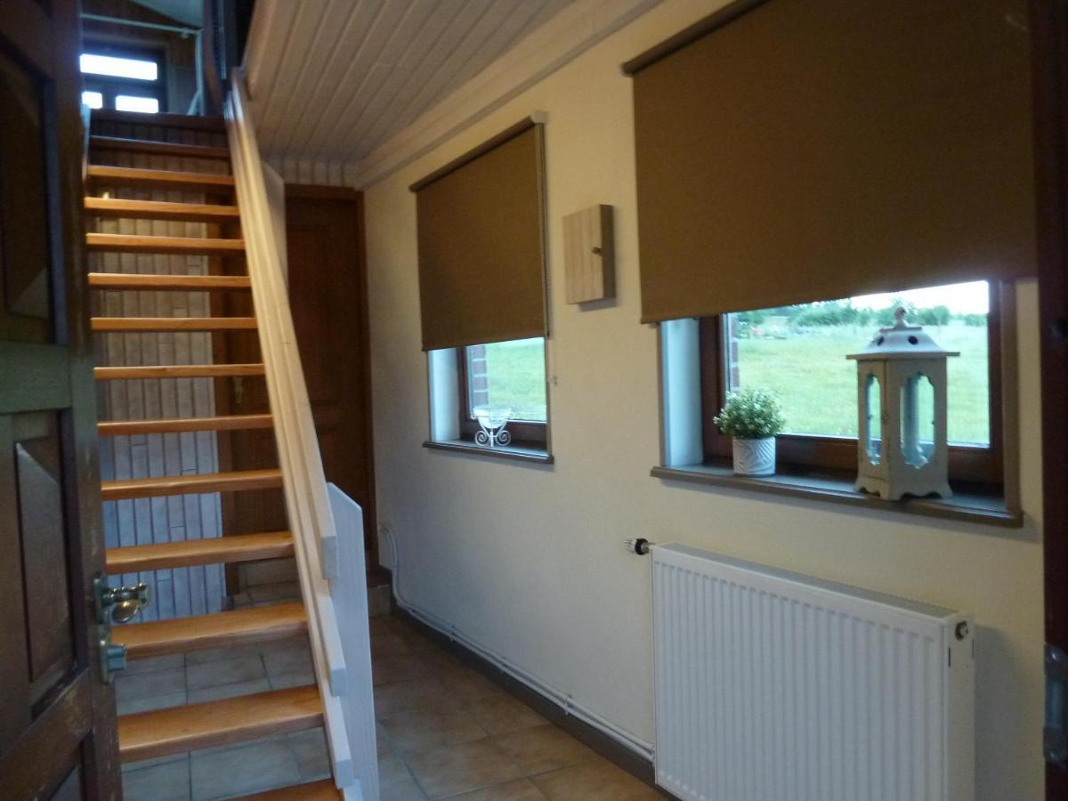 'Chez Lulu' - Gîte de charme en Ardennes avec grande terrasse fermée Nassogne Extérieur photo